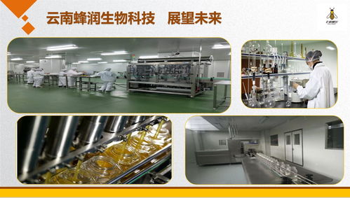 云南蜂潤(rùn)集結(jié)愛(ài)心，科技助殘奧健兒出征